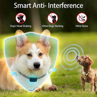 Petmonde-Collier Anti-aboiement Intelligent pour chien Stop-aboiement ultrasonique--Petmonde