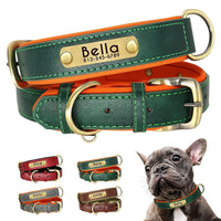 Petmonde-Collier personnalisée en cuir pour chien, collier souple et rembourré, possibilité de graver le nom pour petits, moyens et grands chiots, réglable-Vert-XS / 18-27cm-Petmonde