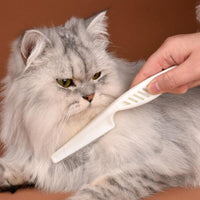Petmonde-Peigne anti-puces en acier inoxydable pour chien et chat, brosse d'épilation à dents denses, accessoire pour chat et chien-Petit-Petmonde