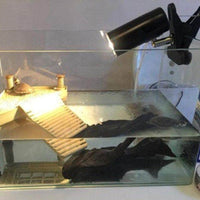 Petmonde-Support de lampe porte-ampoule UVA UVB clipsable ampoule chauffante tortue aquatique reptiles pour terrarium/vivarium-Reptile & Amphibian Habitat Heating & Lighting-Noir-Petmonde