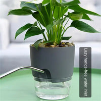 Petmonde-Pot hydroponique pour plante doté d'un système d'arrosage automatique et d'un réservoir d'eau intégré--Petmonde