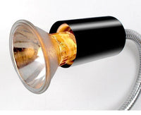 Petmonde-Ampoule à UV E27 pour reptile tortue émission UVA UVB lampe chauffante-éclairage--Petmonde
