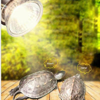 Petmonde-Ampoule chauffante UVA+UVB 3.0 lampe pour tortue et reptile simulation de soleil lampe terrarium-Reptile & Amphibian Habitat Heating & Lighting--Petmonde
