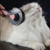 Petmonde-Brosse autonettoyante à aiguilles spéciales pour chat chien peigne pour animaux de compagnie-Pet Combs & Brushes-Gris-Petmonde