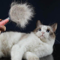 Petmonde-Brosse autonettoyante à aiguilles spéciales pour chat chien peigne pour animaux de compagnie-Pet Combs & Brushes-Gris-Petmonde