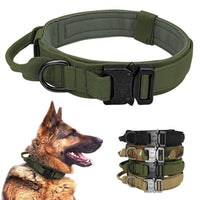 Petmonde-Collier tactique militaire pour chien-chien--Petmonde