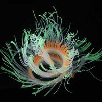 Petmonde-Corail fluorescent en silicone forme remodelable décoration pour aquarium-Decoration-Vert-Petmonde