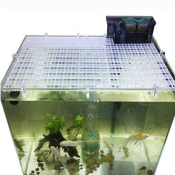 Perforated cover grid separator for aquarium adaptable any size or han –  Petmonde