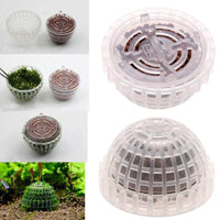 Petmonde-Demi sphère pour mousse java + boules de céramique pour améliorer la qualité de l'eau-Decoration--Petmonde