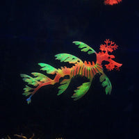 Petmonde-Dragon fluorescent en silicone lumineux suspendu flottant décoration d'aquarium-Decoration--Petmonde