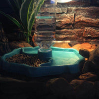 Petmonde-Gamelle distributeur d'eau 2 en 1 pour reptile tortue mangeoire avec fontaine-Accessoires--Petmonde