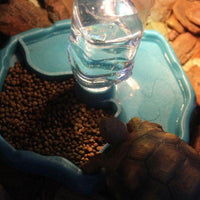 Petmonde-Gamelle distributeur d'eau 2 en 1 pour reptile tortue mangeoire avec fontaine-Accessoires--Petmonde
