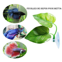 Petmonde-Hamac pour Betta feuille de repos ornementale pour poisson combattant-Accessoires--Petmonde