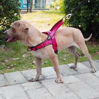Petmonde-Harnais réfléchissant réglable pour chien gilet durable en nylon de voiture-chien-Rouge-S-Petmonde