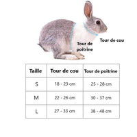 Petmonde-Harnais respirant pour lapin ou petit chien gilet réglable avec laisse pour promenade-rongeur--Petmonde
