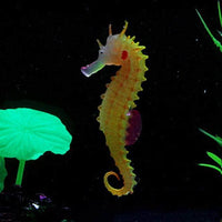 Petmonde-Hippocampe fluorescent lumineux en silicone décoration d'aquarium-Decoration-Jaune-Petmonde