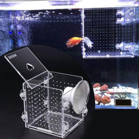 Petmonde-Incubateur boîte d'isolation pour alevins petits poissons élevage-Accessoires--Petmonde