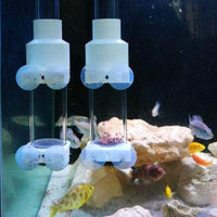 Petmonde-Incubateur de pisciculture gobelet à oeufs de poissons accessoire d'élevage cichlidés et ancistrus-Accessoires--Petmonde