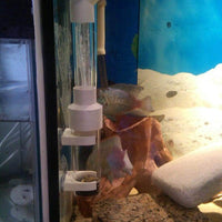 Petmonde-Incubateur de pisciculture gobelet à oeufs de poissons accessoire d'élevage cichlidés et ancistrus-Accessoires--Petmonde