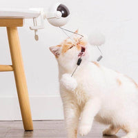 Petmonde-Jouet interactif intelligent pour chat boule de coton-chat--Petmonde