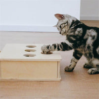 Petmonde-Jouet interctif pour chat jeu de la taupe pour chaton-chat--Petmonde