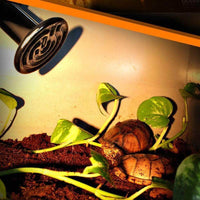 Petmonde-Lampe chauffante en céramique ampoule E27 infrarouge reptile tortue rongeur poulailler 25-200W-Reptile & Amphibian Habitat Heating & Lighting--Petmonde