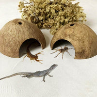 Petmonde-Noix de coco habitat pour petit reptile gecko poisson décoration terrarium aquarium-Accessoires--Petmonde