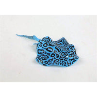 Petmonde-Ornement raie fluorescente en silicone décoration flottante suspendue d'aquarium-Decoration-Bleu-Petmonde