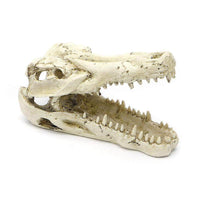 Petmonde-Ornement tête de crocodile crâne en résine décoration pour aquarium-Decoration--Petmonde