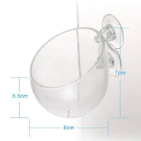 Petmonde-Pot en verre pour plantation décorative en suspension accessoire d'aquarium aquascaping-Accessoires--Petmonde