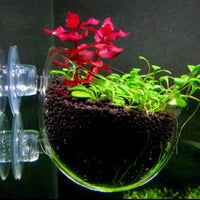 Petmonde-Pot en verre pour plantation décorative en suspension accessoire d'aquarium aquascaping-Accessoires--Petmonde