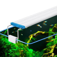 Petmonde-Rampe à LED extensible écalirage pour aquarium avec braquettes extensibles 18-72 cm-éclairage--Petmonde