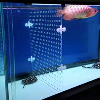 Petmonde-Séparateur en acrylique répartiteur avec 4 supports à ventouse diviseur aquarium plusieurs tailles disponibles-aquarium--Petmonde