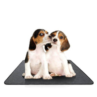 Petmonde-Tapis lavable pour chien avec absorption rapide réutilisable étanche pour l'entraînement, le voyage, la voiture et le canapé-chien--Petmonde