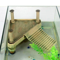 Petmonde-Terrasse de repos plate-forme de bronzage île flottante pour tortue aquatique grenouille accessoire pour aquarium-Accessoires-Moyenne-Petmonde