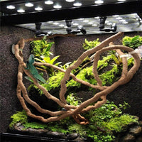 Petmonde-Vigne flexible escalade reptile iguane serpent décoration d'habitat terrarium-Accessoires--Petmonde